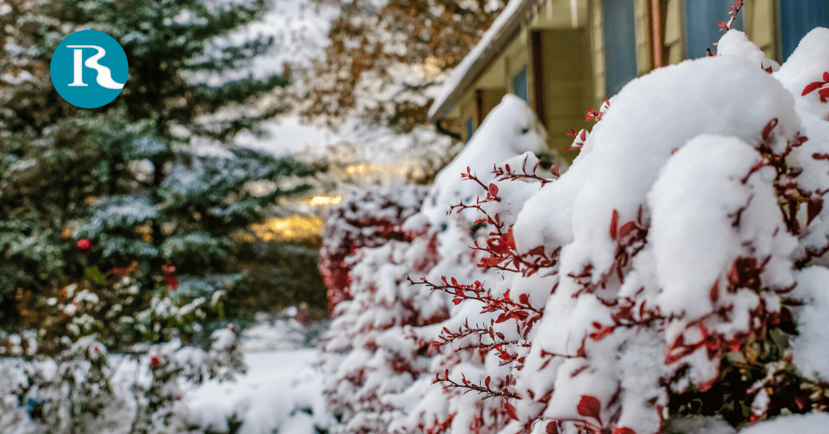 winter-landscaping-ideas