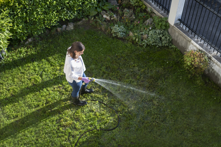 watering lawn