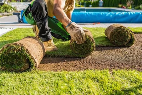 landscaping