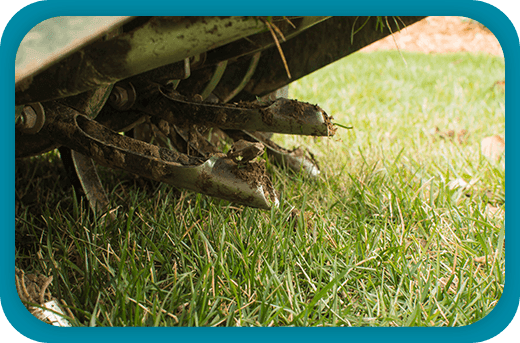 Aeration & Reseeding