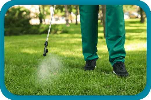 Lawn Pest Control