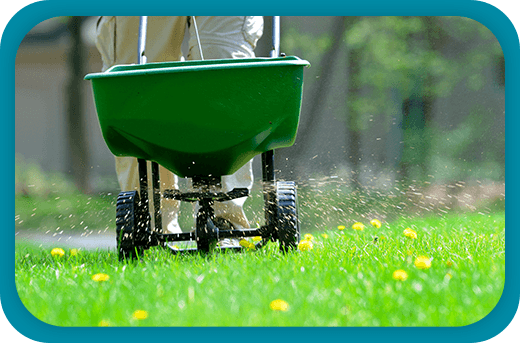 Seasonal Lawn Care
